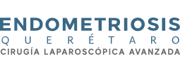 Logo Endometriosis Querétaro